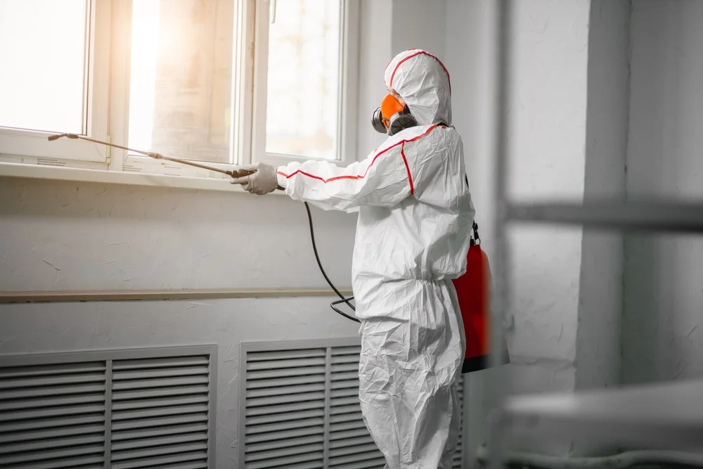 Professional mold remediation services in Harrisville, NH